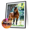 5D DIY Diamond Painting Kits Full Round Drill Horse Mosaic Picture Animal Crafts