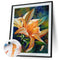 Special Flower 40x50cm Oil Paint By Numbers Picture DIY Painting M423
