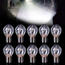 1pcs Moped Scooter Head Light Halogen Bulb Motorcycle R6K3 Lamp 12V 35W B35 C7O4