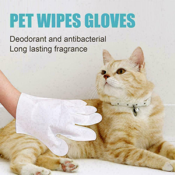 Pet No washing glove Pet Cleaning Gloves For Cats Supplies Dog Pet 45g I4C1 J6F2