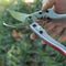 Plant Trim Garden Scissors Pruner Fruit Tree Orchard Pruning Shears Cutter
