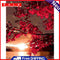 Flower Sun No Frame Pictures By Number DIY Digital Coding Oil Painting for Room