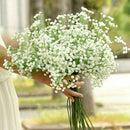 Artificial Baby's Breath Gypsophila Silk Flowers Bouquet AU W5U3 H2B 7Y9I S7J4
