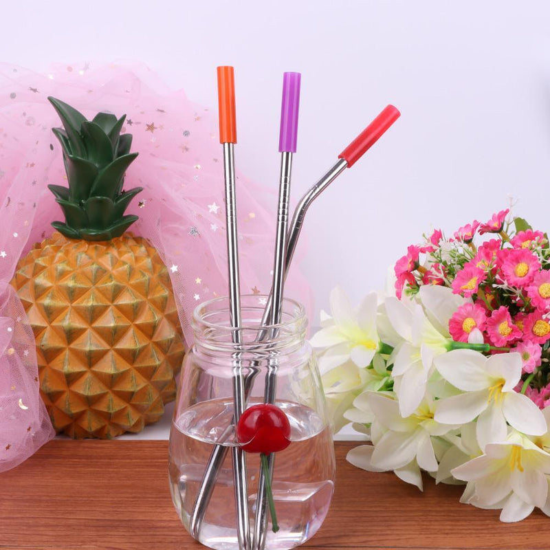 Stainless Steel Drinking Straw Reusable Silicone Cover Straw Dental Kit (2)