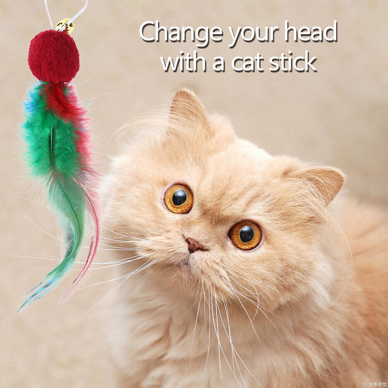 10pcs Feather Teasing Toys Cat Pompom Ball Pet Teaser Bell Sound Interactiv