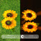 LED Solar Sunflower Shape Light Ground Plug-in Iron Lamp Path Decor (B)