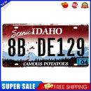 License Plate Retro Metal Plate Tin Sign Iron Painting Wall Art Decoration