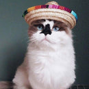 Costume Dog Supplies Sombrero Pet Straw Hat Pet Ornaments Mexican Straw Cap&
