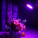 E27 110V LED Plant Grow Lamp Growing Lights Bulbs for Flower Plant(72LED) Newly