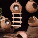 Parrot Coconut Shell Bird Nest Hamster Parakeet House with Hanging Ladder Newly