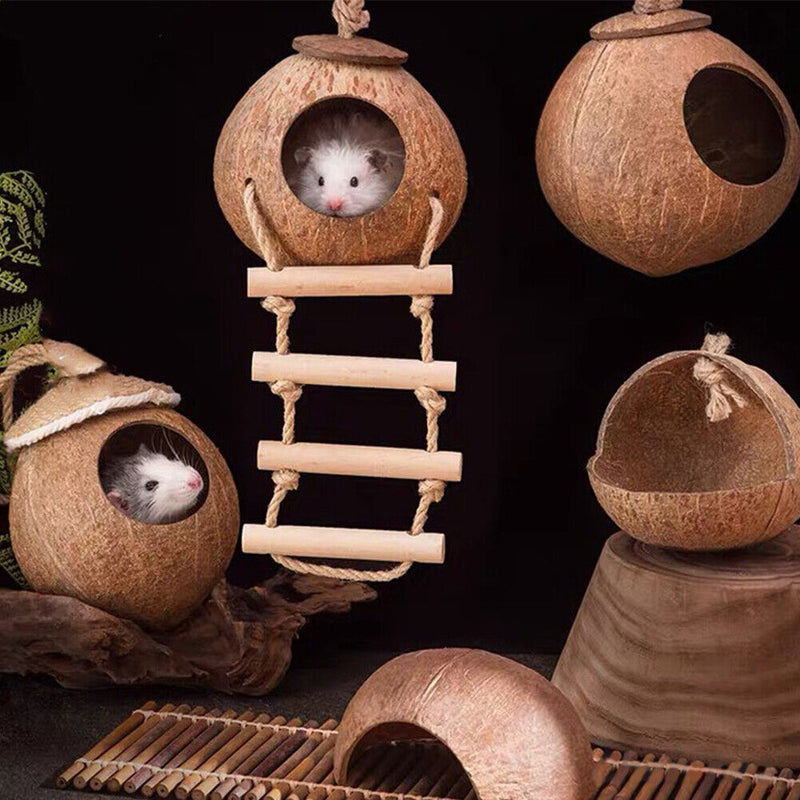 Parrot Coconut Shell Bird Nest Hamster Parakeet House with Hanging Ladder Newly