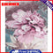 Pink Flower Oil Paint By Numbers Kits Canvas DIY Picture Hand Painted Wall Arts