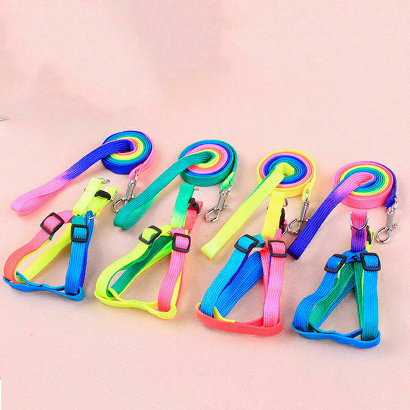 SMALL PET DOG PUPPY MATCHING COLLAR AND LEAD SET NYLON ADJUSTABLE CA P8C7