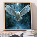 5D DIY Diamond Painting Kits Full Round Drill White Owl Mosaic Picture Wall