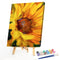 Oil Paint By Numbers Sunflower Frameless Picture Craft Kit for Living Room Home