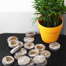 30mm Jiffy Peat Pellet Grain Starting Tray Plug Nutrient Soil Block (5pcs) Newly