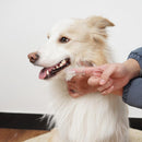 Super Soft Silicone Pet Finger Toothbrush Teddy Dog Brush Tartar Remover