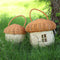 Handmade Rattan Mushroom Basketball Handbag Woven Kids Organizer Desktop Decorations