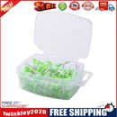 100pcs/box Disposable Dental Polishing Cup Tooth Polish Brush Polisher Cup