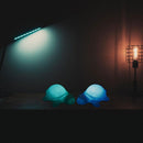 Leuchtende Schildkröte Light für Kinder leuchtendes Schildkrötenspielzeug.