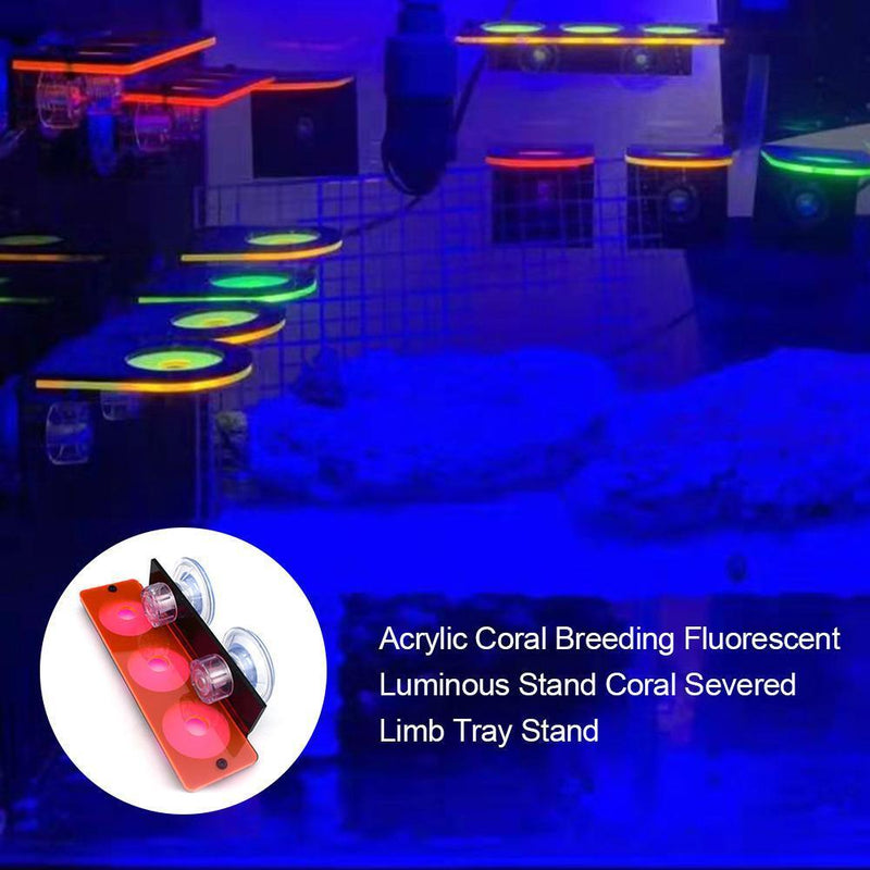Fish Tank Fluorescence Coral Frag Rack Aquarium Reef w/ Plug Holder (Red)