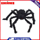 Halloween Holiday Triangle Spider Web Cotton Simulation Black Spider Silk Web
