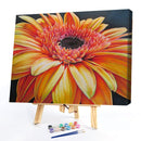 Sunflower Oil Paint By Numbers Kits DIY Hand Painted Wall Art Decor (M967)