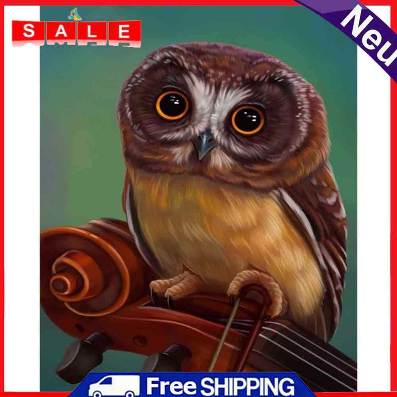 DIY Digital Picture Owl Oil Painting By Numbers Set Acrylic Handicraft Art Craft