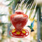 Plastic Bird Water Feeder Bottle Hanging Flower Hummingbird Feeder (Red)