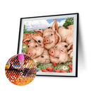 5D DIY Diamond Painting Kits Full Square Drill Cute Pig Mosaic Picture (F483)
