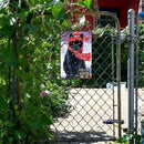 #A Pug Retro Metal Plate Tin Sign Plaque Wall Home Decor Iron Painting Accesso