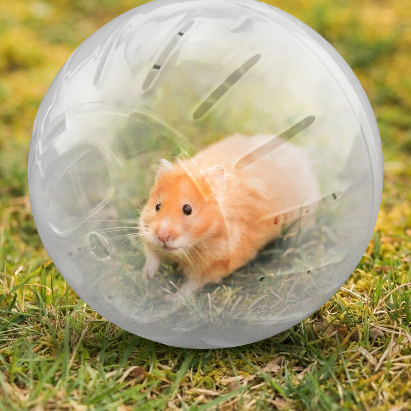 Clear Plastic Pet Rodent Mini Jogging Ball Hamster Exercise Running Ball Toys
