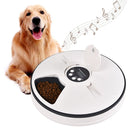 Timed Cats Dogs Voice Reminder Pet Supply Food Dispenser Pet Feeder Pet Feeding