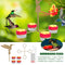 Courtyard Bird Feeder Set - Outdoor Spring Birds Water Drinking for Garden