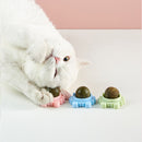 Rotatable Cat Treat Toys with Catnip Pet Snacks Kitten Molar Interactive Ba