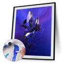 Killer Whale Oil Paint By Numbers Kit DIY Acrylic Painting on Canvas (B1477)
