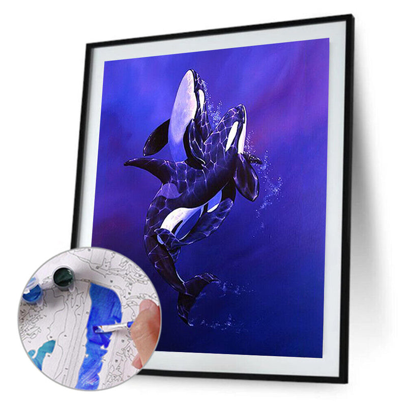 Killer Whale Oil Paint By Numbers Kit DIY Acrylic Painting on Canvas (B1477)