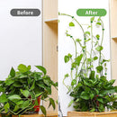 10pcs Plant Fixture Clip Plant Climbing Wall Self-Adhesive Fastener Vine Buckles