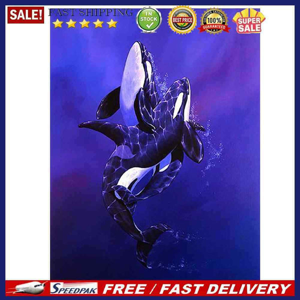 Killer Whale Oil Paint By Numbers Kit DIY Acrylic Painting on Canvas (B1477)