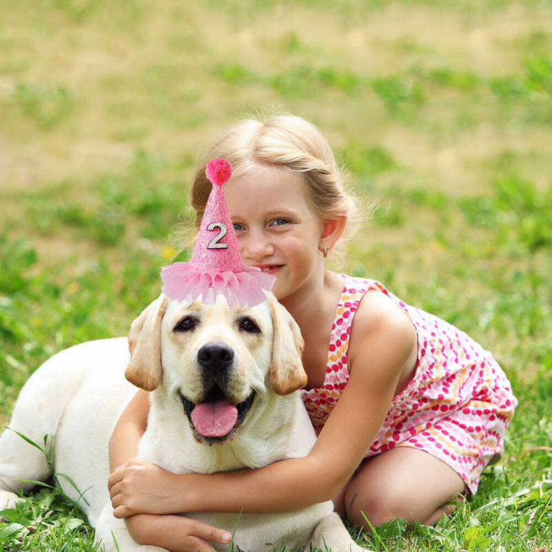 Pet Birthday Caps Headwear Hat Costume with Number Pets Accessories Supplies