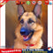 Dog Oil Paint By Numbers Kit DIY Frameless Acrylic Picture On Canvas Art Newly