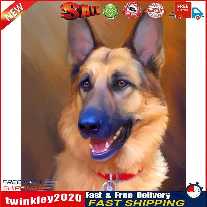Dog Oil Paint By Numbers Kit DIY Frameless Acrylic Picture On Canvas Art Newly