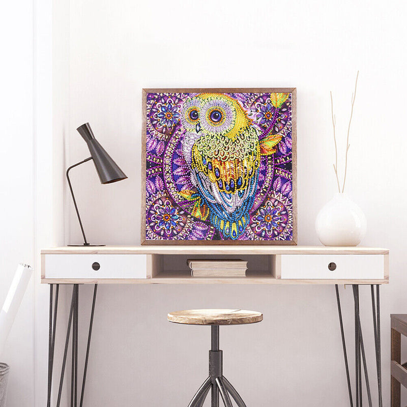 5D DIY Special Shaped Diamond Painting Owl Cross Stitch Mosaic Kit (R113)