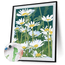 Special Flower 40x50cm Oil Paint By Numbers Picture DIY