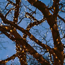 LED Fairy String Light IP65 Outdoor Solar Lamp Garden Decor (22m Warm) Newly