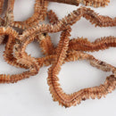Dry Sandworms Fishing Lure Saltwater Feeder Worms Sea Fish Smell Soft Baits