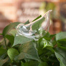 Glass Plant Flowers Water Feeder Self Watering Bird Device*1 Waterer S8O4