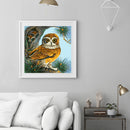 DIY Paint By Number Kit Owl Animals Acrylic Paint Home Office Art Craft Gifts