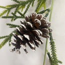 Decoration Christmas Pine Cone Eucalyptus Leaf Vines Red Fruit Pine Needle