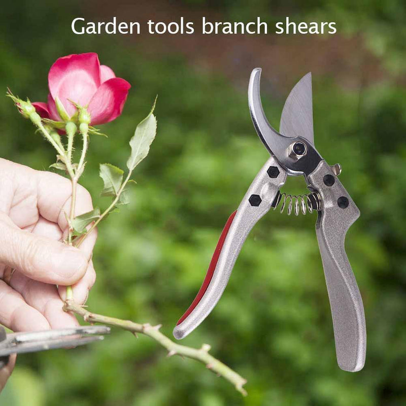 Plant Trim Garden Scissors Pruner Fruit Tree Orchard Pruning Shears Cutter